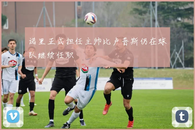 诺里正式担任主帅比卢普斯仍在球队继续任职