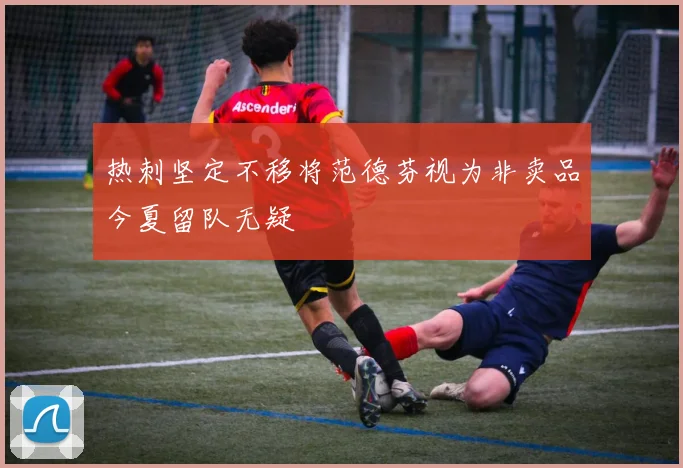 热刺坚定不移将范德芬视为非卖品今夏留队无疑