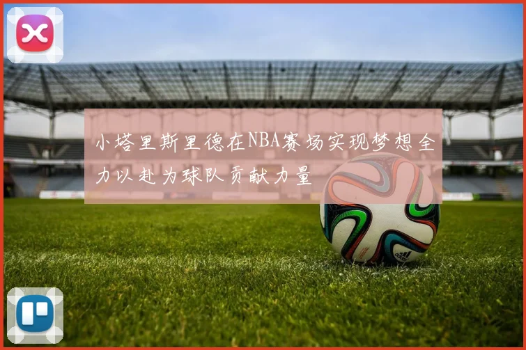小塔里斯里德在NBA赛场实现梦想全力以赴为球队贡献力量